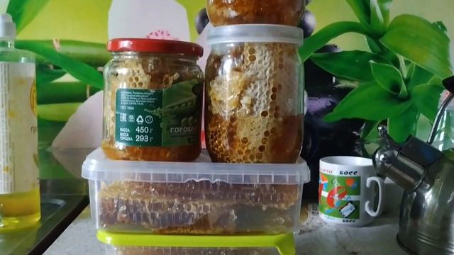 колодный мед смотреть онлайн