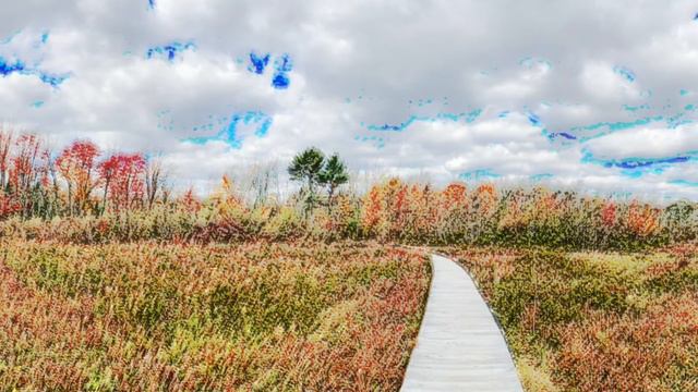Thanksgiving Flute Meditation: Simple Gifts. Flutes, drum, rattle, and pentatonic plucked psaltery. смотреть онлайн