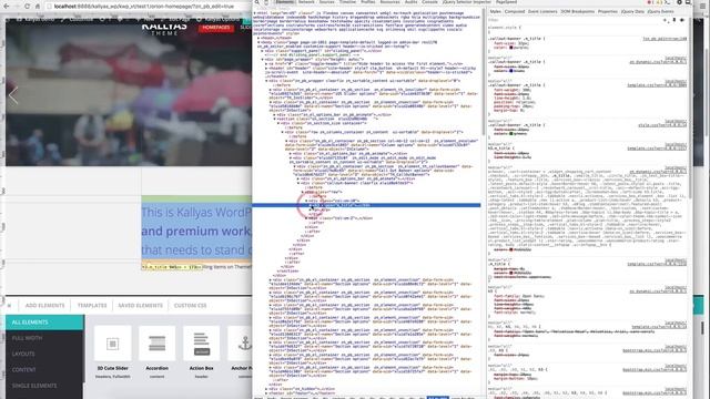 Customisations and How to add custom page CSS - Kallyas WordPress theme v4.0 смотреть онлайн