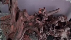 Декорирование аквариума.Коряги,камни,грунт.Залив воды.