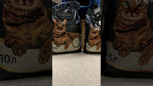 Презентация наполнителя CАTSBY! смотреть онлайн