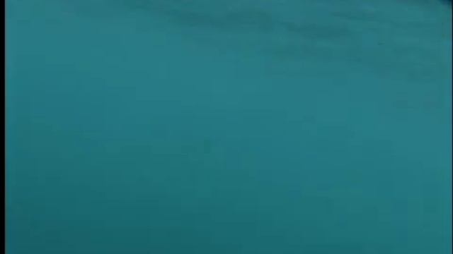 Galapagos Striped Marlin смотреть онлайн