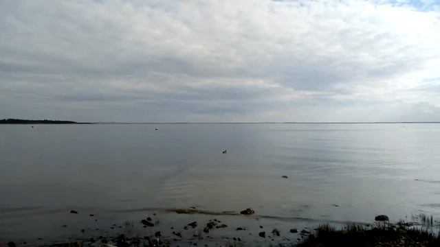 Парк Дубки и пляж Дубковский смотреть онлайн
