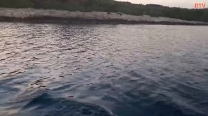 HASWING OSAPIAN 40LBS test