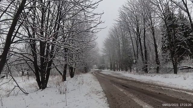 Луганск, ул. Южнорадиальная Дом 1 (По просьбе Подписчика), 9 января 2021 смотреть онлайн