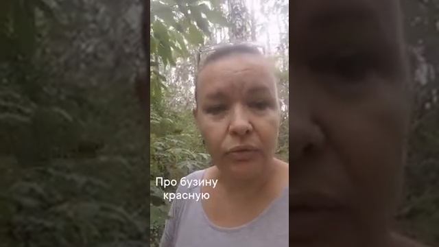 про бузину красную смотреть онлайн