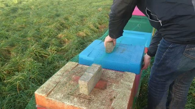 Январь 2018, точек номер 3 смотреть онлайн