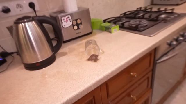 ЧТО-ТО Живет в Нашем ПОДВАЛЕ ! смотреть онлайн