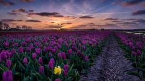 «Цветные сны». Красивая песня в исполнении Татьяны Морозовой.