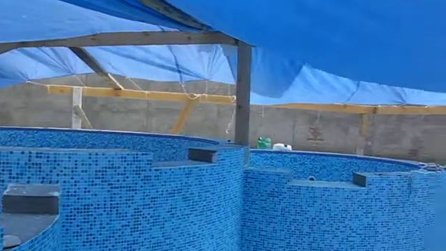Архидом. аргун смотреть онлайн