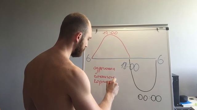 Сколько нужно спать? Циркадный ритм! (Часть 1) смотреть онлайн