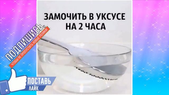 ОТМЫВАЕМ ЛЕЙКУ В ДУШЕ ОТ ИЗВЕСТКОВОГО НАЛЕТА ВНУТРИ смотреть онлайн