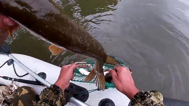 Рыбалка на реке Верхняя Ангара смотреть онлайн