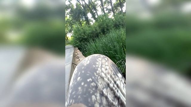 ШЕМАЯ КАК ИЗ ПУЛЕМЕТА. Ловля шемаи на боковой кивок смотреть онлайн
