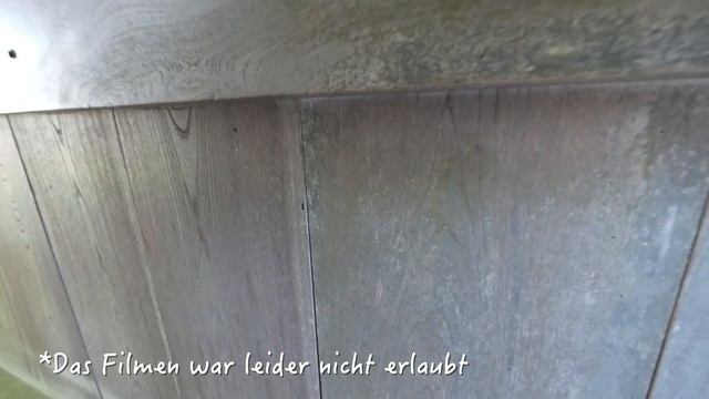 Highlights der Präfektur Fukui [Japan Reisevlog] смотреть онлайн