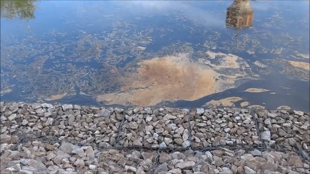 Заболачивание реки Уводь. Провал набережной. смотреть онлайн