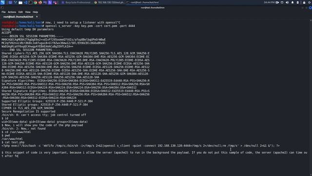 CREATE AN ENCODED REVERSE SHELL (TLS 1.3) WITH OPENSSL - FILE UPLOAD (PHP BACKGROUND PAYLOAD EXEC) смотреть онлайн