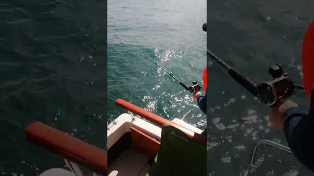 Океан ,ловим минтай смотреть онлайн