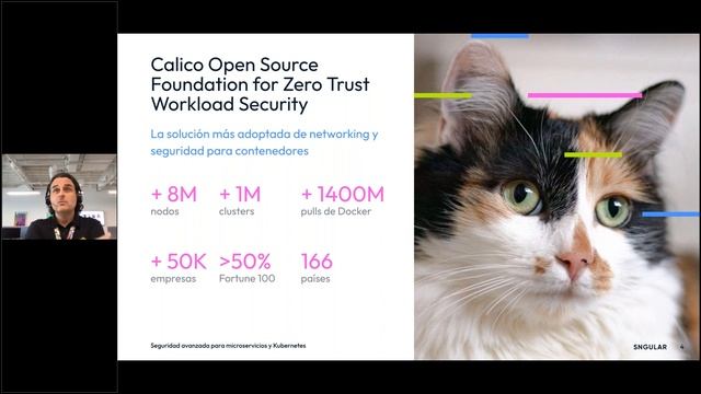 Seguridad avanzada para Microservicios y Kubernetes con Calico смотреть онлайн