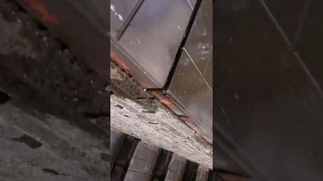 ЗЕМЛЯКИ: Редакция газеты "Земляки". Утром отключили электроэнергию. смотреть онлайн