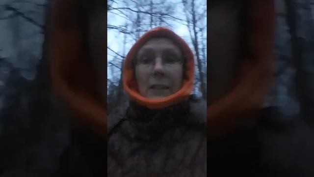 про питание и про собак смотреть онлайн