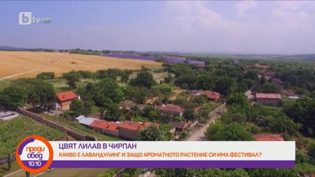 Преди обед: Какво е лавандулинг и защо ароматното растение си има фестивал? смотреть онлайн