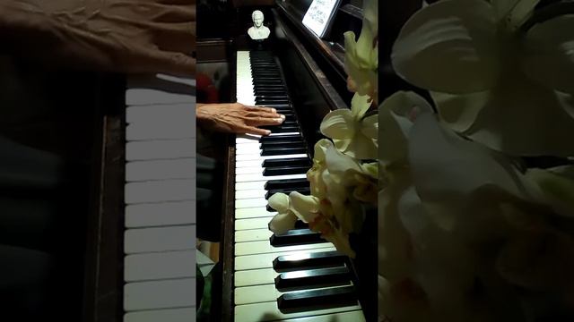 Ilusiones Perdidas (Lost Illusions) by Ignacio Cervantes...Lento malincolico...Right hand only смотреть онлайн