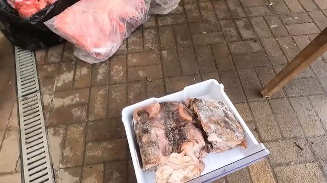 Разлила валерьянку 30 кошкам, такого я не ожидала. Лиса опять отказывается от еды, Капе очень плохо смотреть онлайн