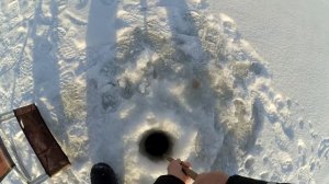 Крупный ротан на жерлицы-поставухи (зимняя рыбалка на ротана)