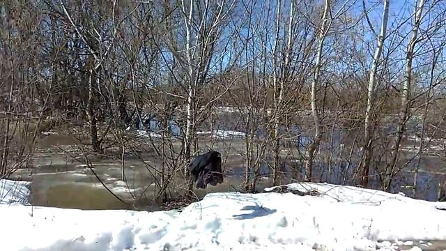 весна 2018 река Дон разлив смотреть онлайн