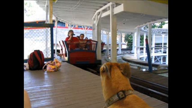 The Greyhound and the Roller Coasters смотреть онлайн