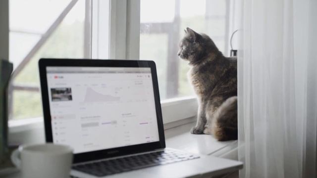 Always appear ACTIVE and Available on Skype / Outlook even when AWAY - Best Trick for Work from Hom смотреть онлайн