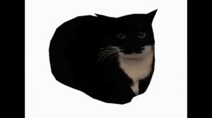 Максвелл-кот Тема 10 часов - Лютый кот флексит