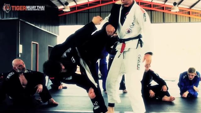 BJJ Training at Tiger Muay Thai смотреть онлайн