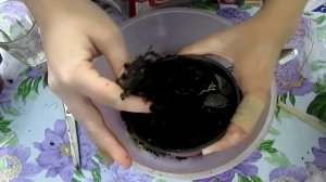 Период покоя у глоксиний от А до Я. Хранение клубней глоксинии зимой в состоянии покоя