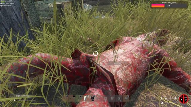 DayZ  Anomaly Stalker Pve Source, идем дальше #2