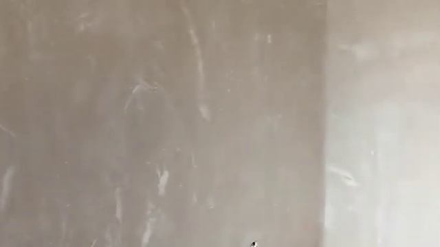 Ровные и гладкие стены после машинной штукатурки смотреть онлайн