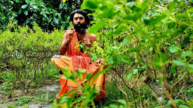 explained about how to kaval deivam Swamy alaippu / trance смотреть онлайн