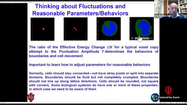 ENG443/543 Virtual Tissues Lecture 3: Volumes Contact Energy Plotting January 25 2022 смотреть онлайн