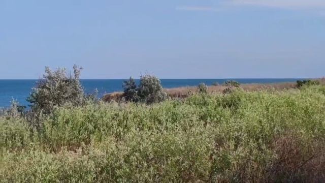 Одесса, чёрное море, пляж, отдых смотреть онлайн