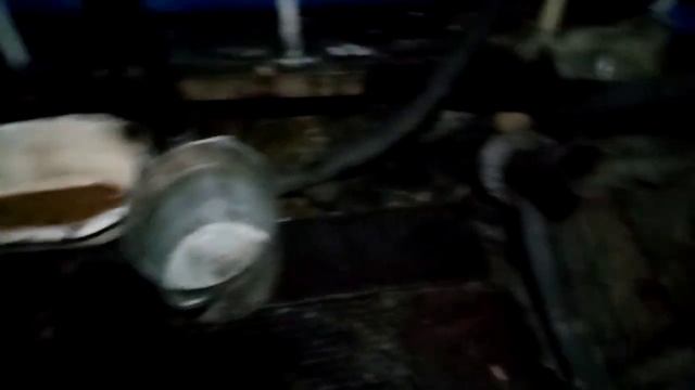 УЗВ Африканский сом смотреть онлайн