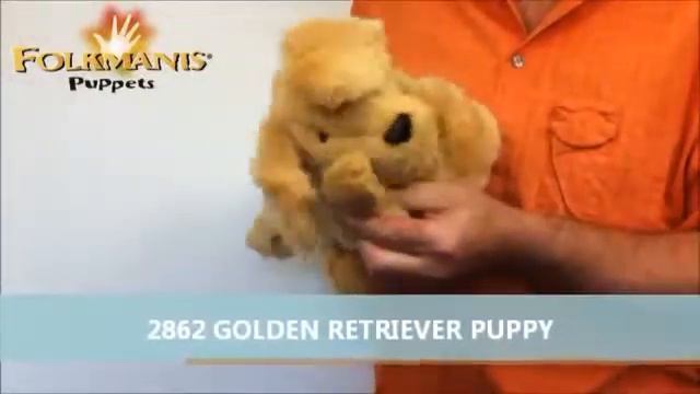 Кукольный театр. Золотистый ретривер. смотреть онлайн