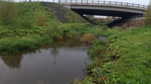 #009 #Мормышинг  В этом ручье полно рыбы!!!.mp4