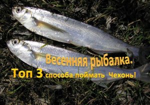Весенняя рыбалка. Топ 3 способа поймать  Чехонь!