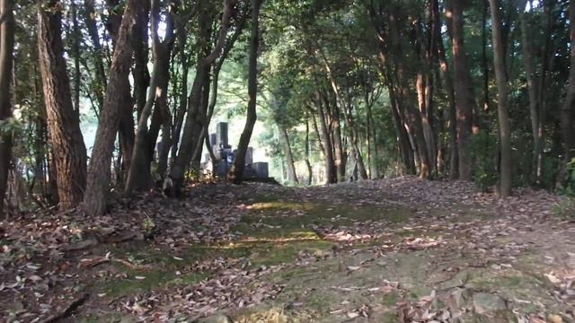 #Japanesecemeteries #Японские кладбища.Мои японские велопрогулки по префектуре Хёго этой осенью смотреть онлайн