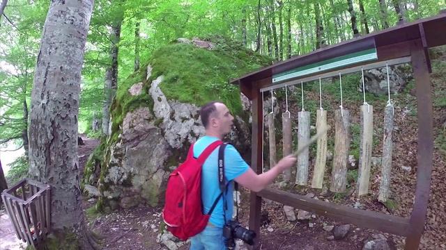 Черногория за 12 дней. День 6. Национальный парк Биоградская гора. Биоградское озеро. смотреть онлайн