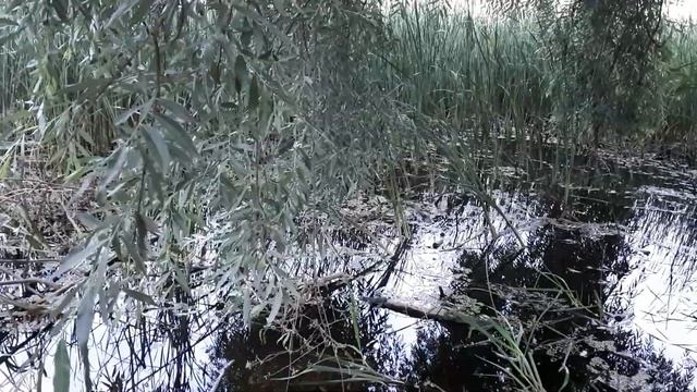 почему снятся сны смотреть онлайн
