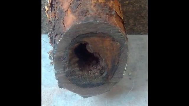 Какую воду вы пьёте? Живая ли она? Что она помнит? смотреть онлайн