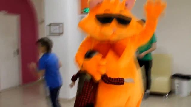 ШОК! Огромный кот танцует смотреть онлайн
