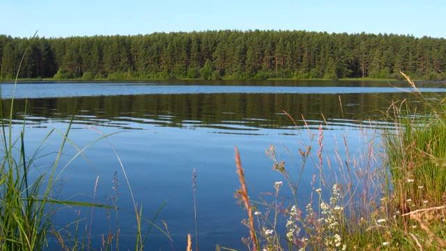 На БЕРЕГУ   ОЧЕНЬ   ТИХОЙ РЕКИ